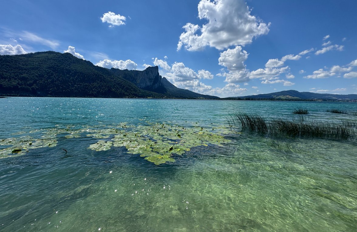 Immobilie in Keine Angabe Salzkammergut - Mondsee: Auf der Sonnenseite im Salzkammergut!  Seeliegenschaft in Alleinlage mit Seegrund - bild 2