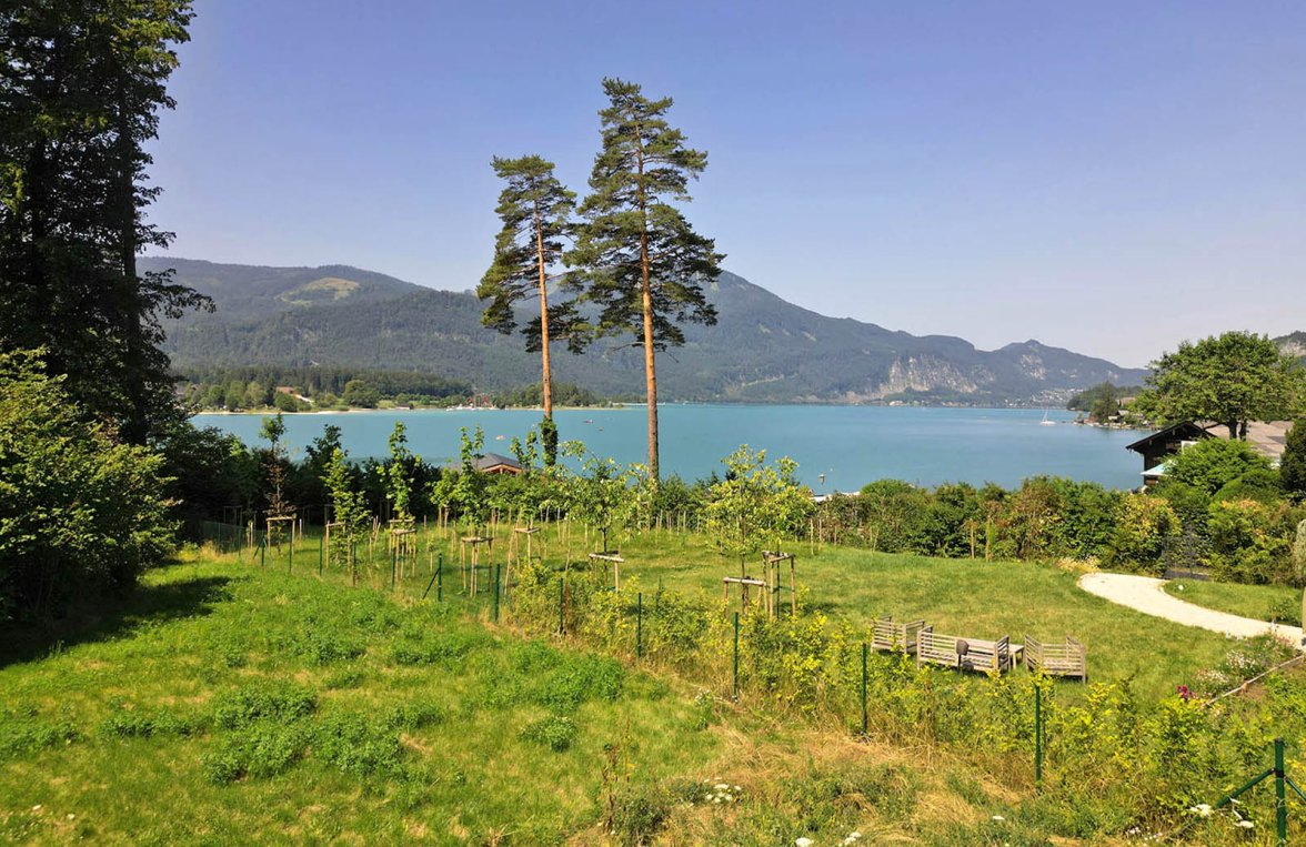 Immobilie in 5360 Salzkammergut -  Wolfgangsee - St. Wolfgang: Exklusives Baugrundstück mit Projektierung in St. Wolfgang im Salzkammergut - bild 1