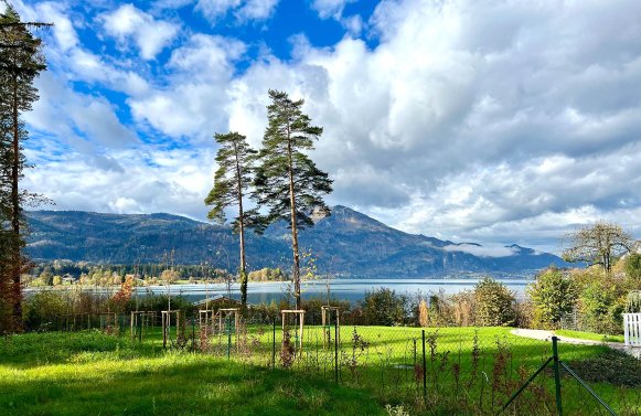 Immobilie in 5360 Salzkammergut -  Wolfgangsee - St. Wolfgang: Exklusives Baugrundstück mit Projektierung in St. Wolfgang im Salzkammergut
