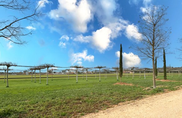 Property in 07630 Mallorca - Campos: Spacious plot with attractive project and planning permission