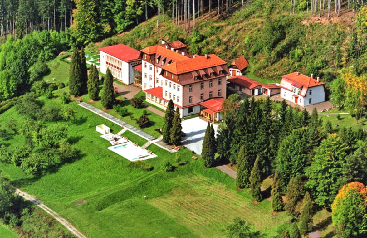 Immobilie in 8623 Steiermark - Aflenz Kurort: Exklusives Entwicklungsareal mit Bestand&Projektstudie im grünen Herz Österreichs - bild 3
