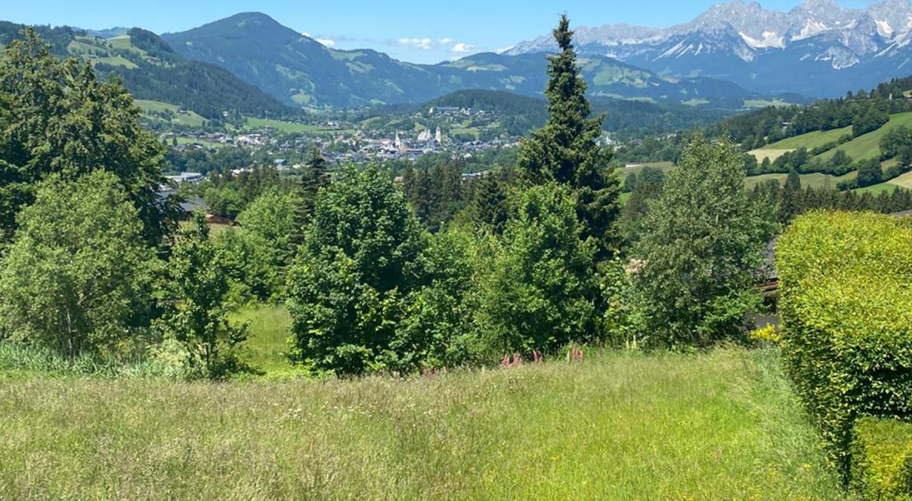 Immobilie in 6370  Kitzbühel: Kitzbühel - auf der beliebten Bichlalm mit Kaiserblick! - bild 1