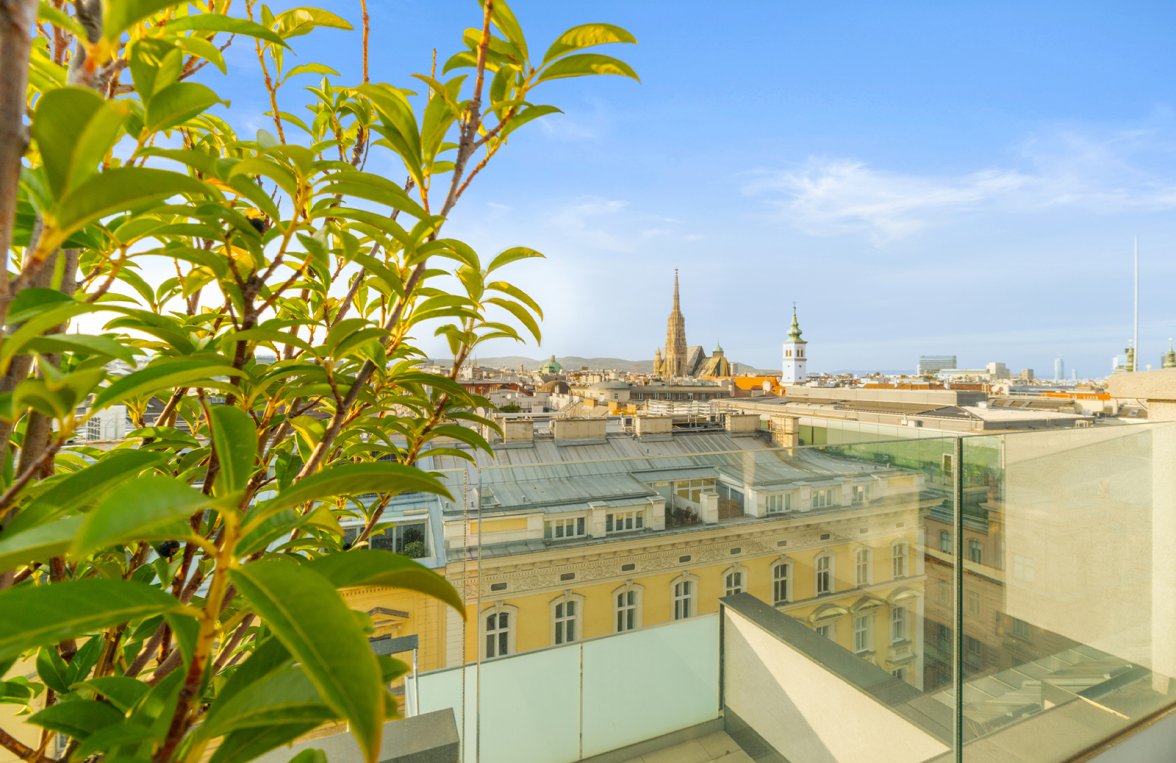 Immobilie in 1010 Wien, 1. Bezirk: Eine Klasse für sich! Penthouse-Residenz mit Pool im Herzen des 1. Bezirks - bild 7