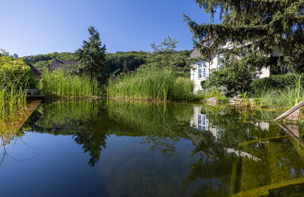 Property in 3400 Vor den Toren Wiens - Klosterneuburg: Stately living! Imperial and royal architect's villa at the gates of Vienna - picture 7