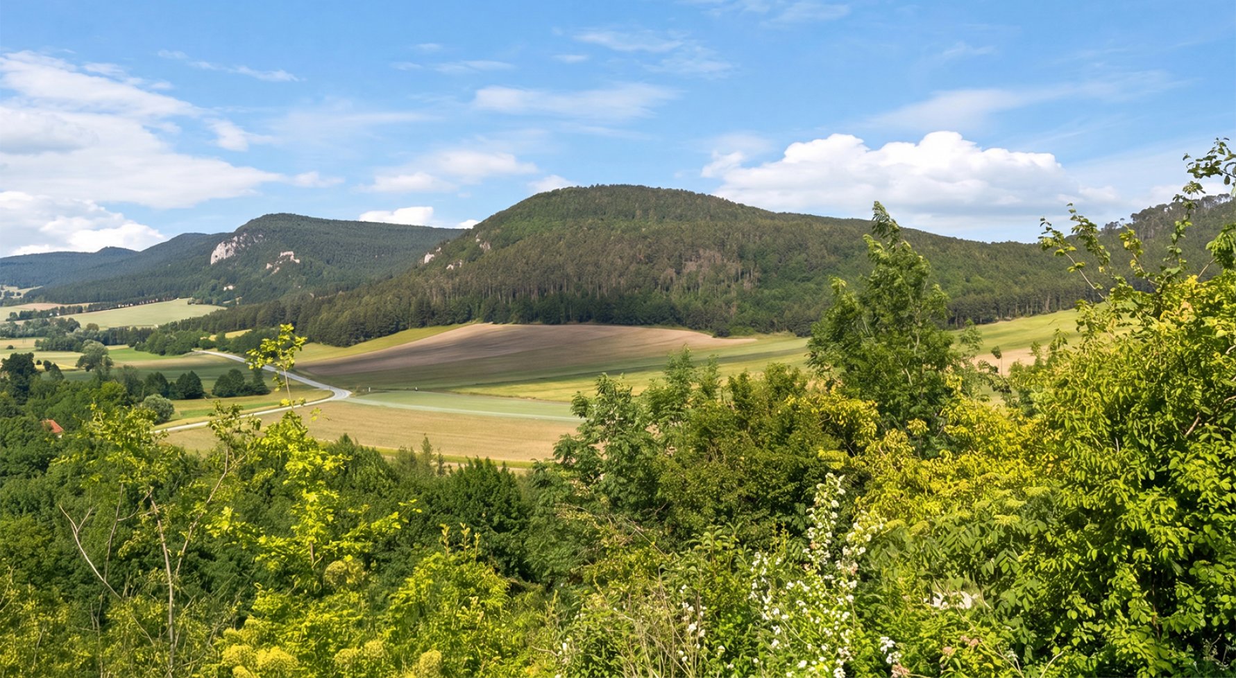 Immobilie in 2722 Niederösterreich - Wiener Neustadt - Hohe Wand: Naturidylle trifft Energieautarkie! Zweifamilienhaus am Fuße der Hohen Wand - bild 1