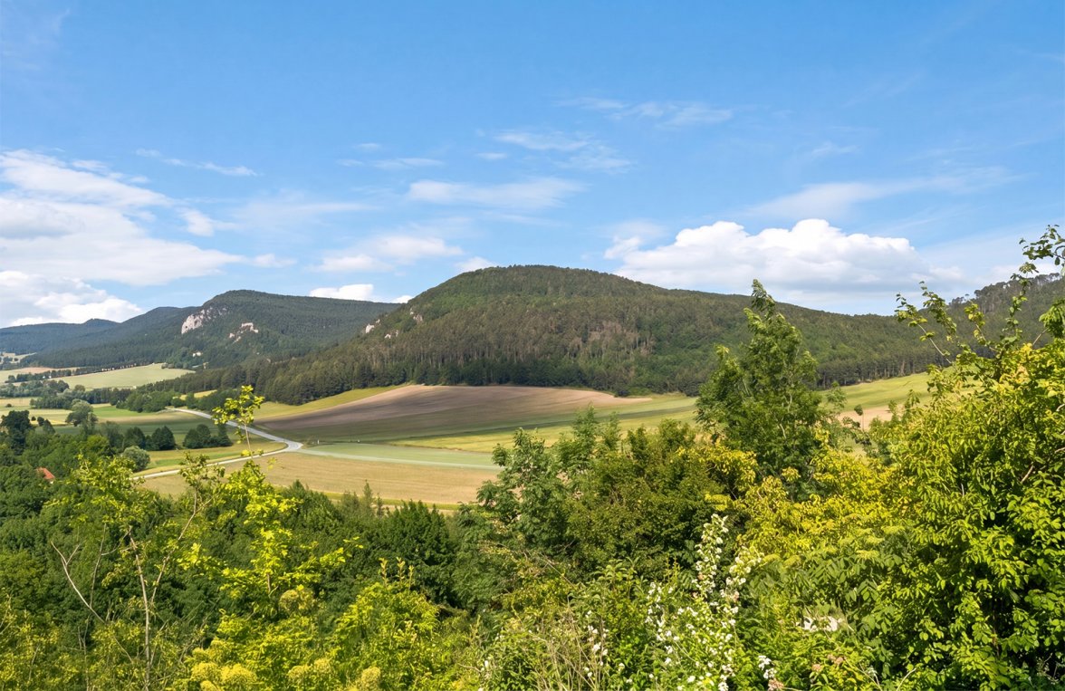 Immobilie in 2722 Niederösterreich - Wiener Neustadt - Hohe Wand: Naturidylle trifft Energieautarkie! Zweifamilienhaus am Fuße der Hohen Wand - bild 5