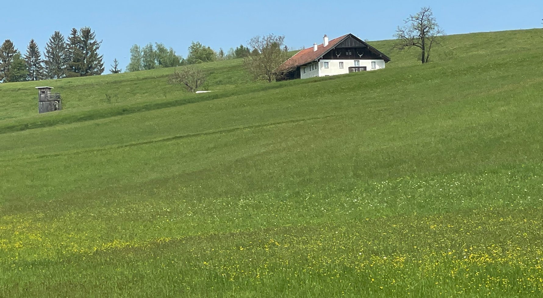 Immobilie in 4920 Kobernaußer Wald : Schönes, saniertes Bauernsacherl in Alleinlage! - bild 1