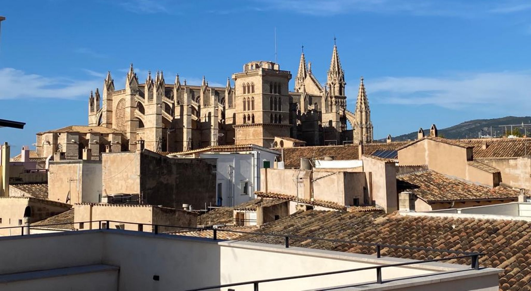 Property in 07001 Palma de Mallorca: A RARE FIND: Apartment with terrace and sea views in Palma - picture 1