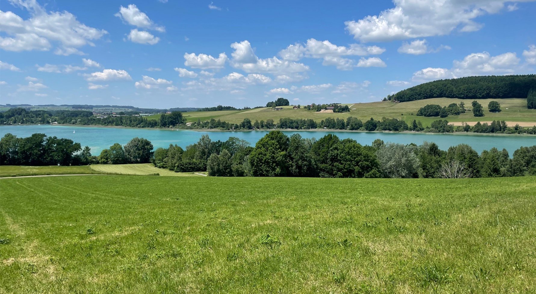 Immobilie in 5221 Lochen am See / Mattsee: Große Freiheit! Reine Natur mit privatem Badeparadies! - bild 1