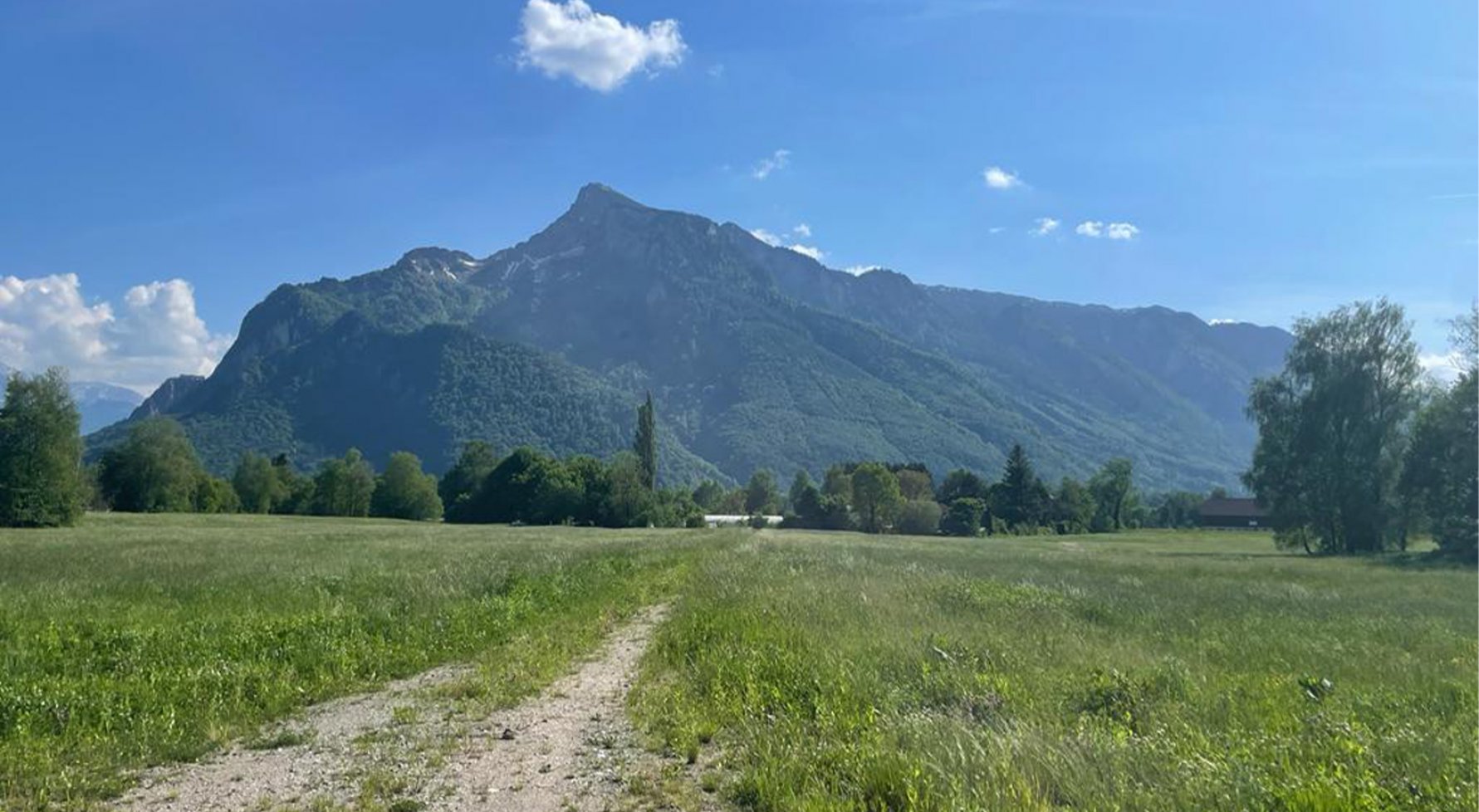 Immobilie in 5020 Salzburg - Leopoldskron-Moos: UNIKAT!  Landwirtschaft im Naturschutzgebiet - bestens geeignet zur Pferdehaltung - bild 1