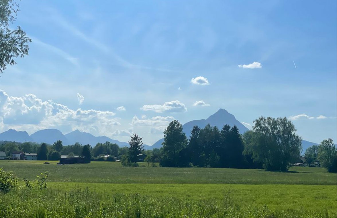 Immobilie in 5020 Salzburg - Leopoldskron-Moos: UNIKAT!  Landwirtschaft im Naturschutzgebiet - bestens geeignet zur Pferdehaltung - bild 2
