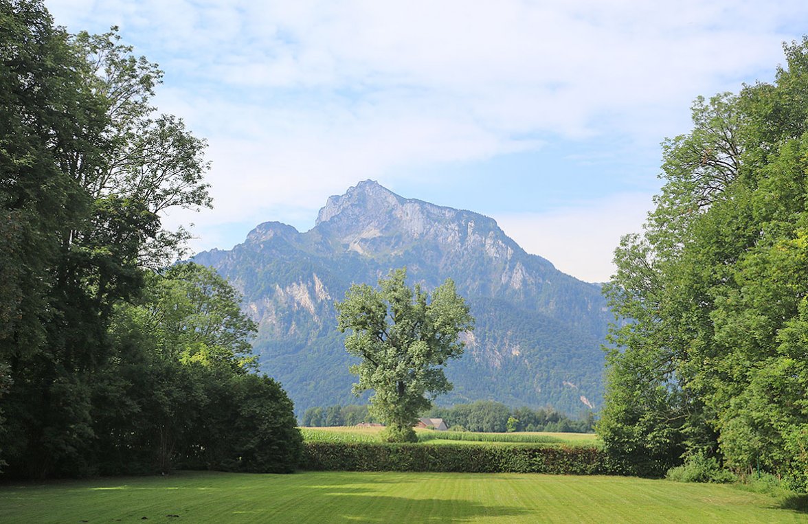 Immobilie in 5020 Salzburg - Anif: Absolute Alleinlage - Historische Villa auf 3,1 ha eingezäuntem Parkgrund - bild 8