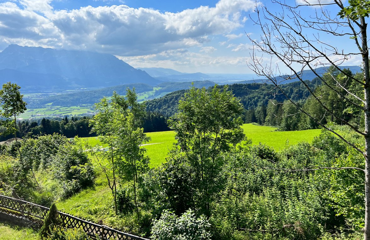 Property in 5421 Salzburg Umgebung / Adnet: Rustic mountain lodge – a place of power with second home designation! - picture 7