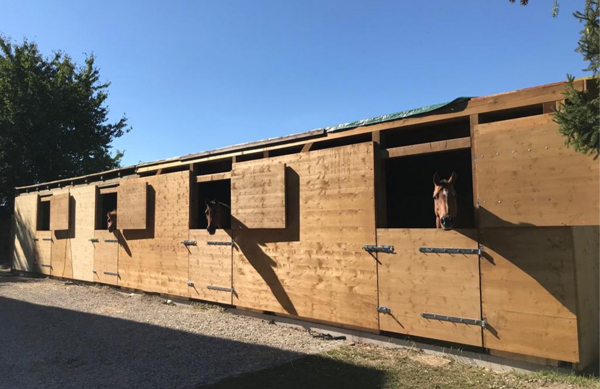 Immobilie in 5274 Oberösterreich - Innviertel: Einzigartiges Bauernsacherl für Pferdeliebhaber mit 4 Paddockboxen - bild 2