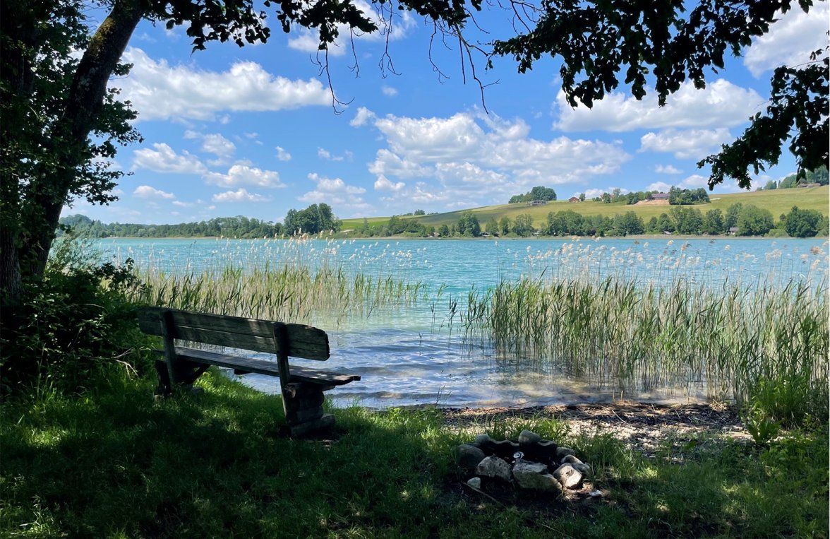 Immobilie in 5221 Lochen am See / Mattsee: Große Freiheit! Reine Natur mit privatem Badeparadies! - bild 3