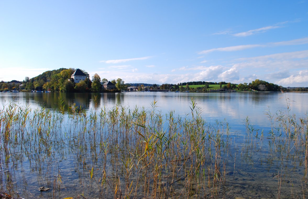 Property in 5163 Mattsee: A RARE FIND! Wonderfully located plot in Mattsee with lake access - picture 4