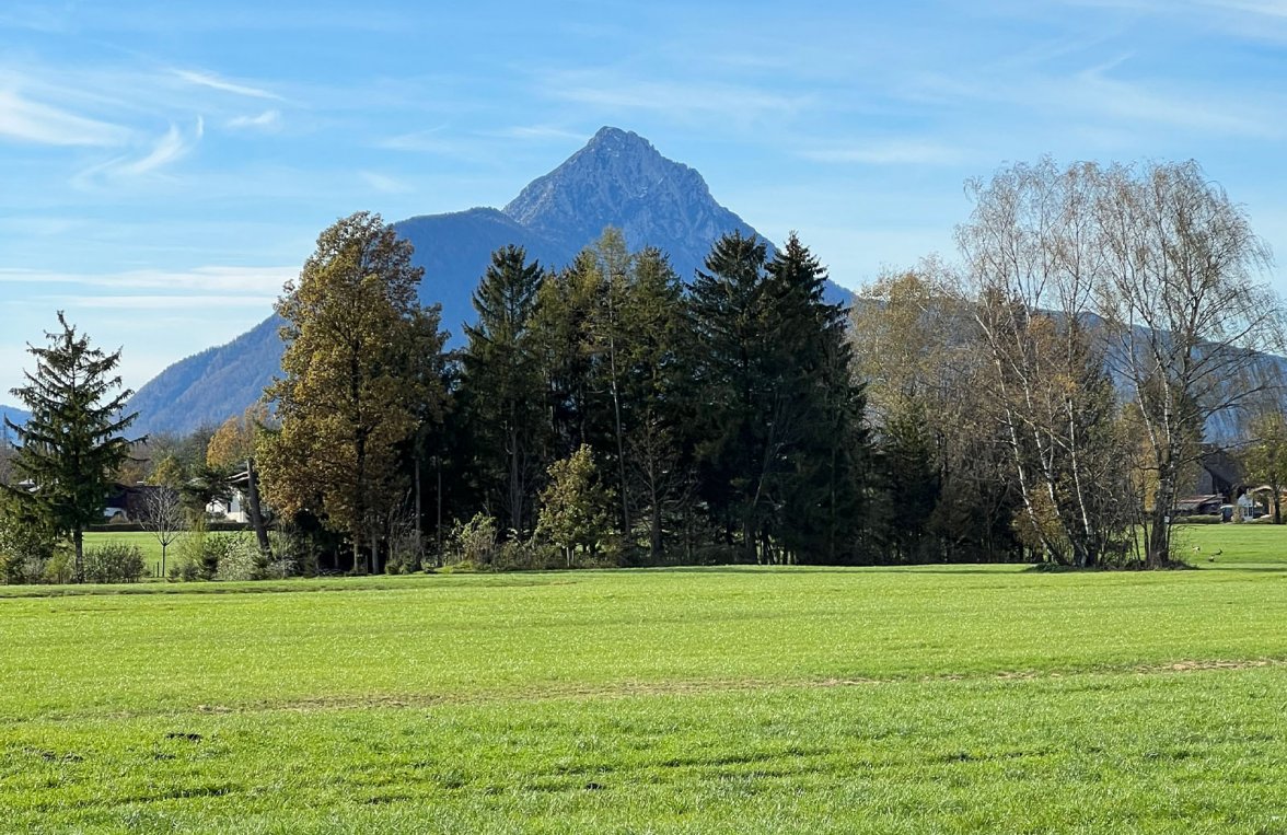 Property in 5020 Salzburg Stadt: A RARE FIND! Farmhouse in the city of Mozart on 2.4 ha and in a secluded location - picture 4