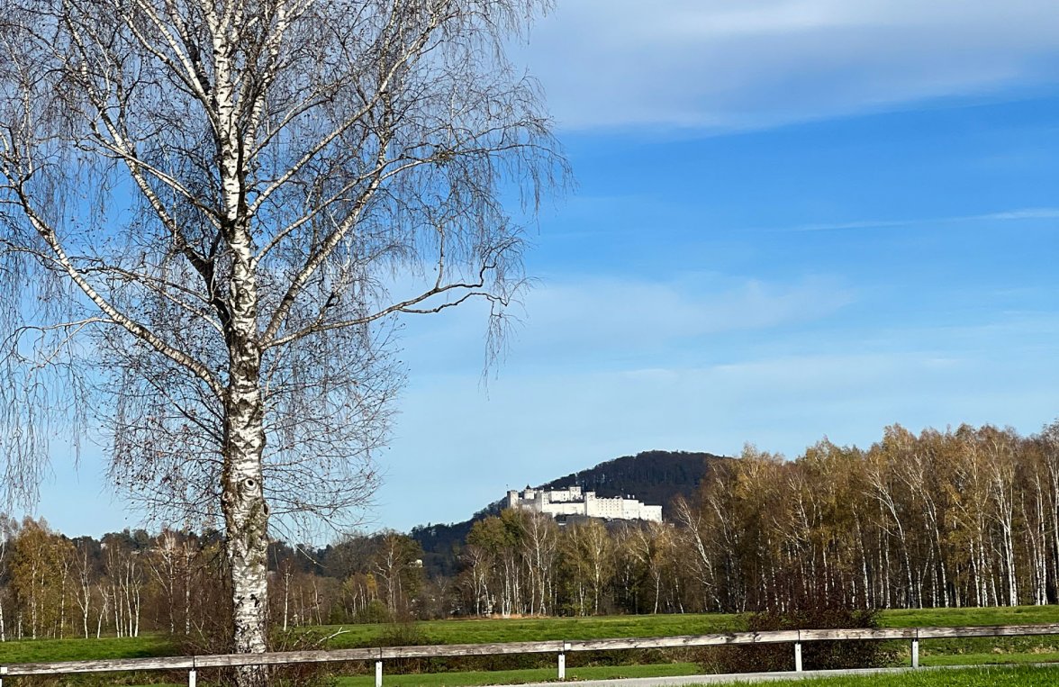 Immobilie in 5020 Salzburg Stadt: Bäuerliches Mehrfamilienhaus mit 4 Wohneinheiten in Leopoldskron-Moos - bild 2