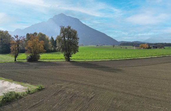 Property in 5081 Salzburg - Anif: Newly built gem with unobstructed view of the Untersberg and high-quality fittings